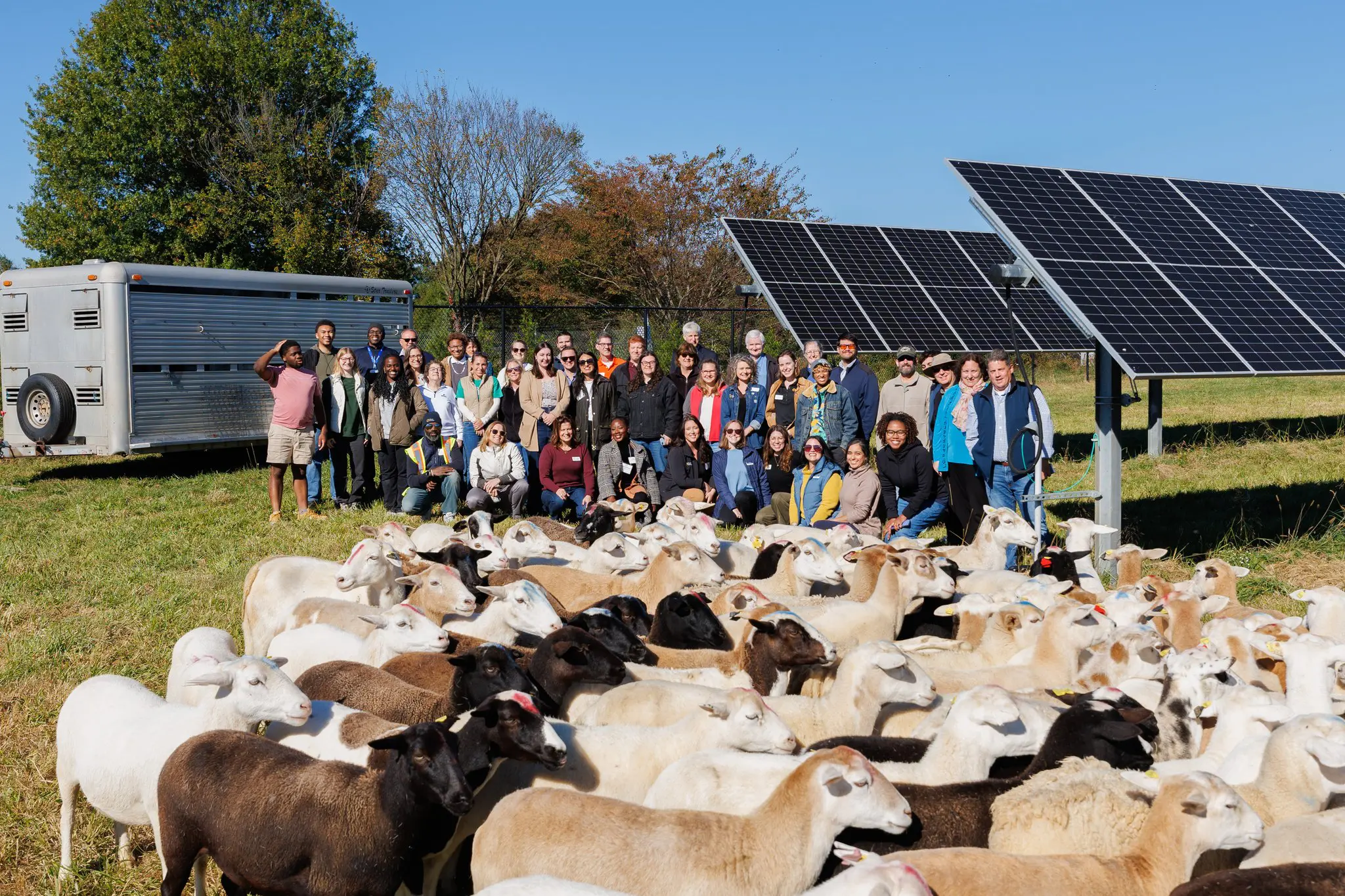 Chaberton Energy, Pivot Energy Showcase How Sheep and Solar Share Maryland Land 